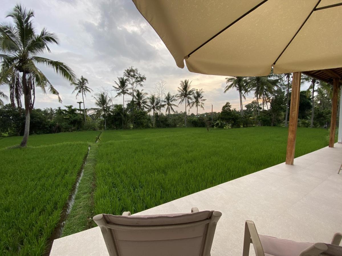 Luxury Villa Ada Padi Ubud One Bed Room Exterior foto